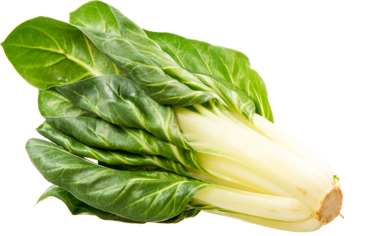 Vegetable Pechay Mangold