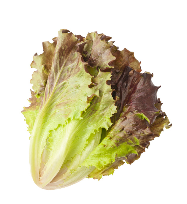 red lettuce